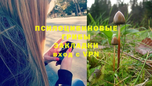PSILOCYBIN Козельск