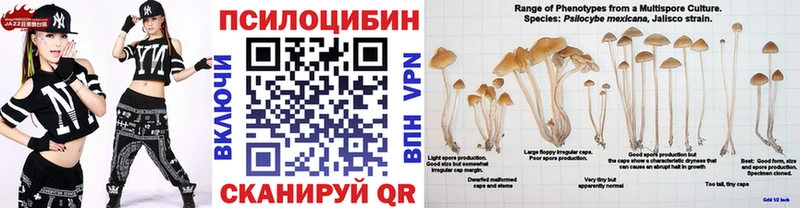 Псилоцибиновые грибы Cubensis  Купить  Бирюсинск 